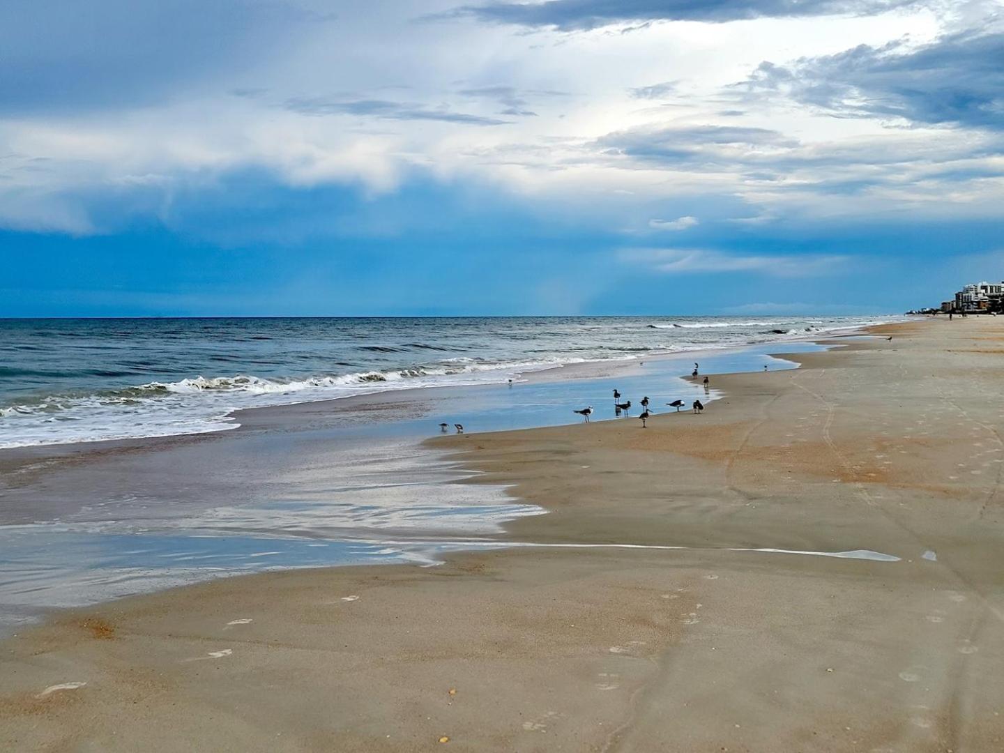 Apartament 404 - Beautiful 2/2 Ocean View New Smyrna Beach Zewnętrze zdjęcie